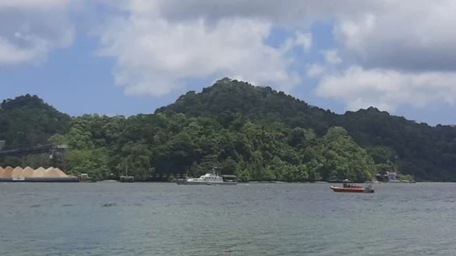 Hutan Angker Di Jawa Jadi Sarang Jin