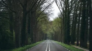 Jalan