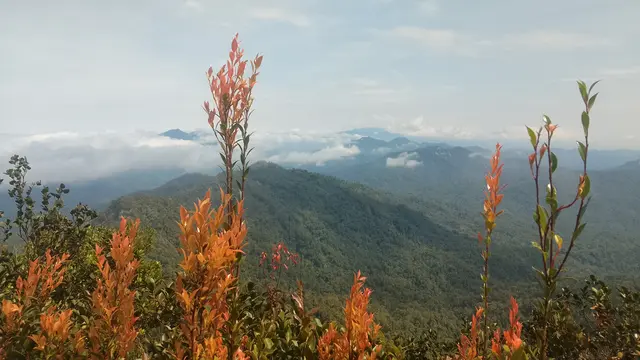 Fakta Menarik Gunung Besar Hantu