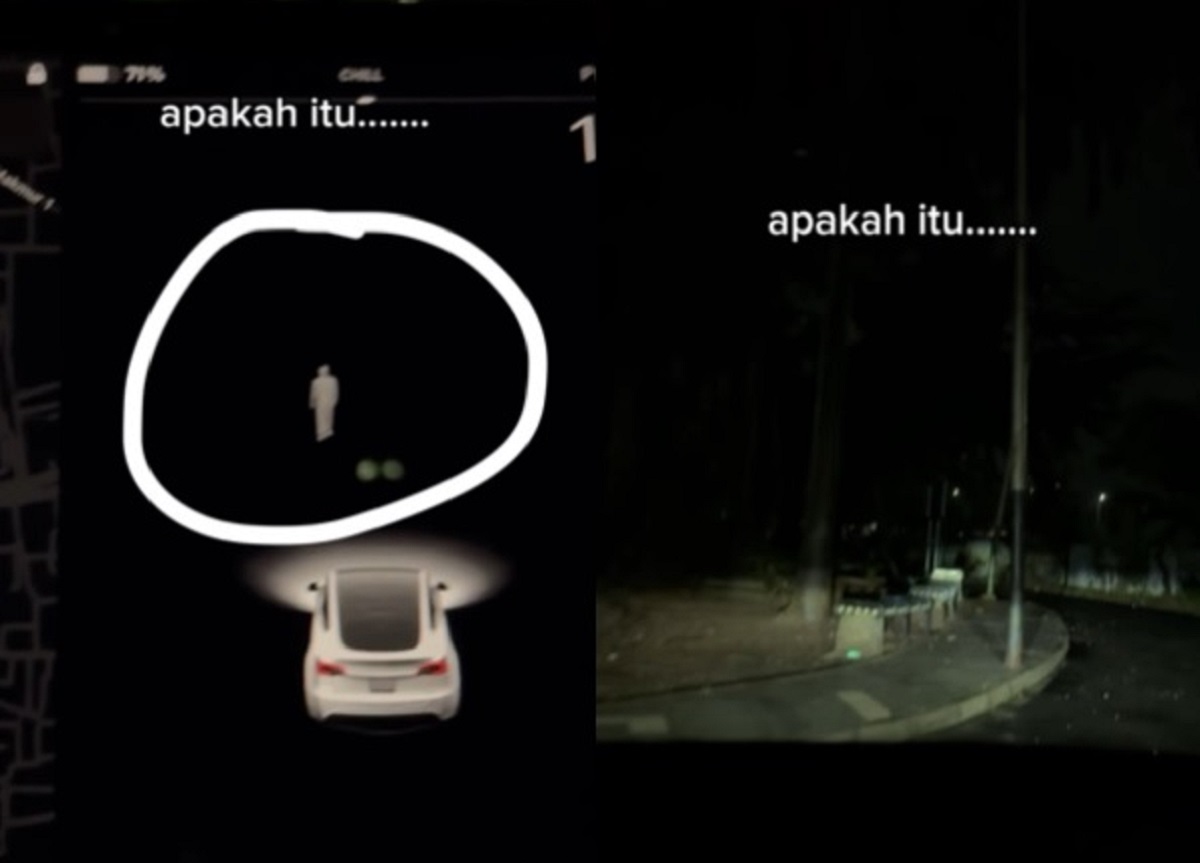 Viral Pasangan Ini Jalan-Jalan Pakai Mobil Listrik di TPU