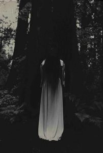 Cerita Seram KKN di Rumah Angker